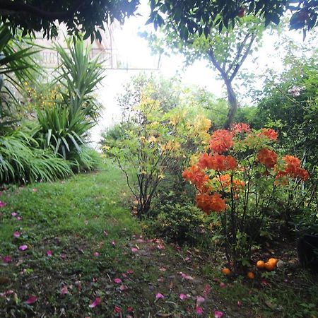 דירות Salto Chiesa Il Giardino Delle Ortensie מראה חיצוני תמונה