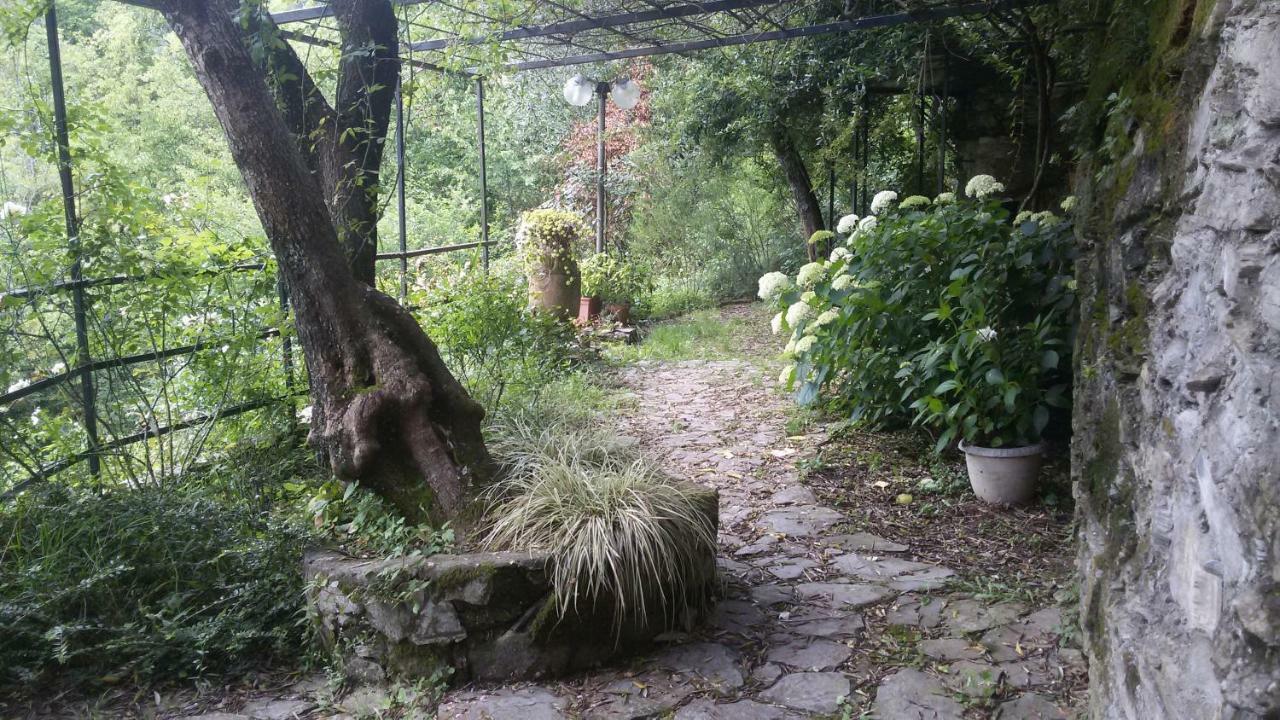 דירות Salto Chiesa Il Giardino Delle Ortensie מראה חיצוני תמונה