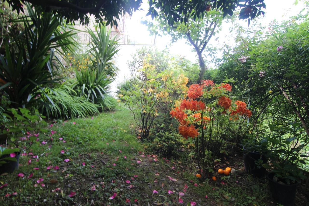 דירות Salto Chiesa Il Giardino Delle Ortensie מראה חיצוני תמונה