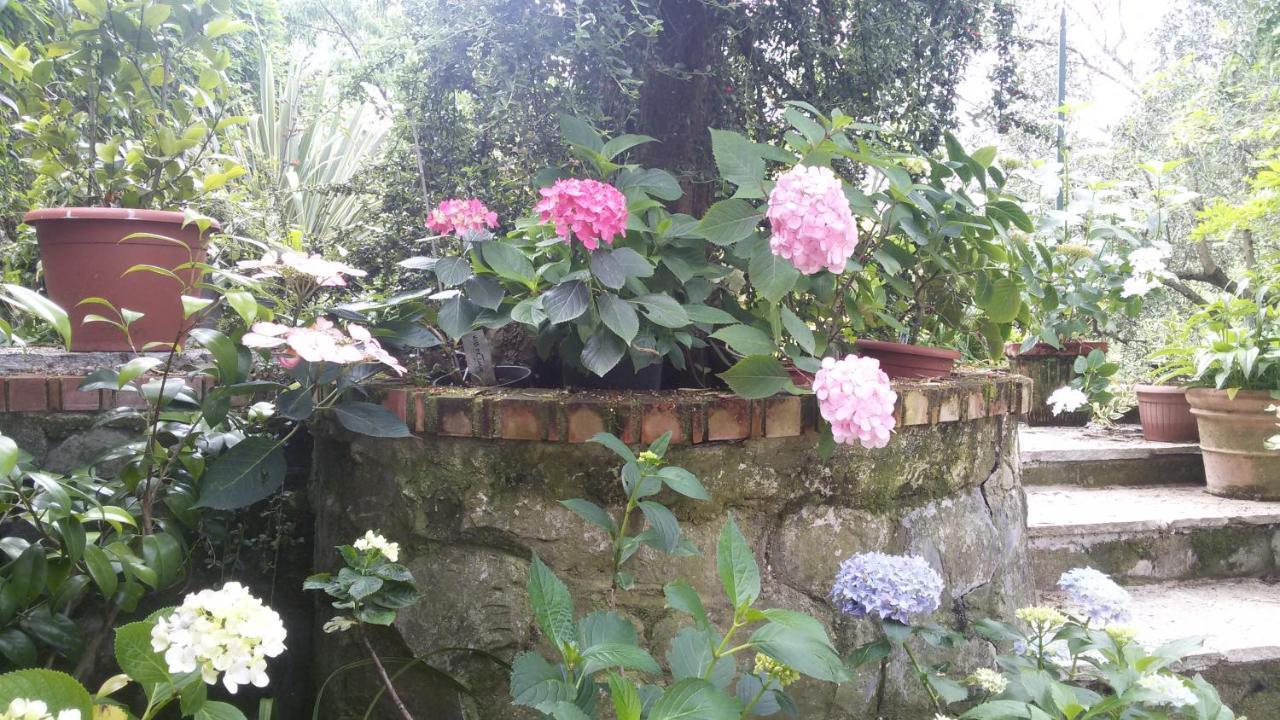 דירות Salto Chiesa Il Giardino Delle Ortensie מראה חיצוני תמונה